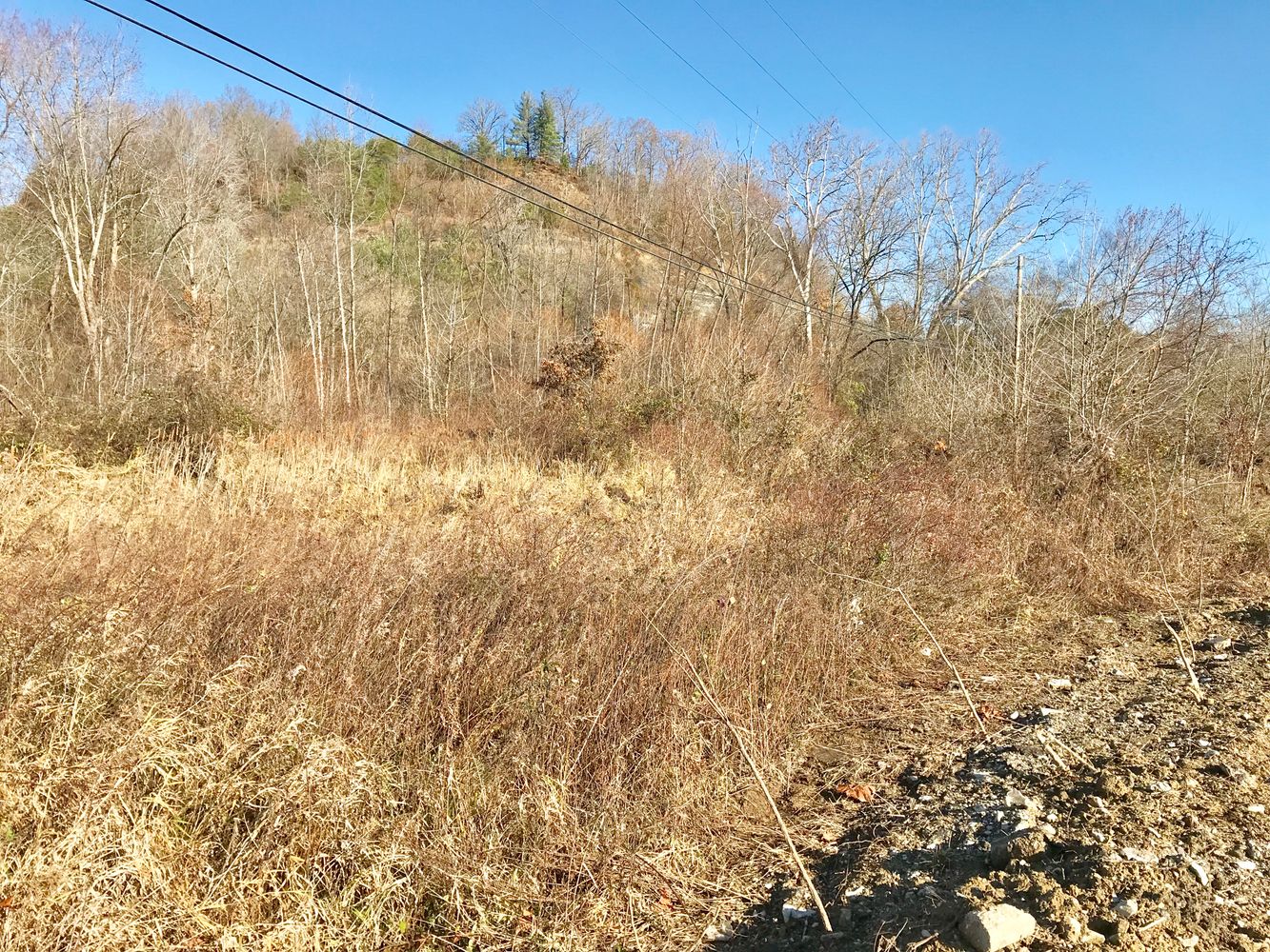 368 State Hwy 1947, Grayson, KY 41143